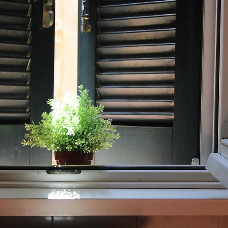 Colosseum New Charming Apartment 罗马 外观 照片
